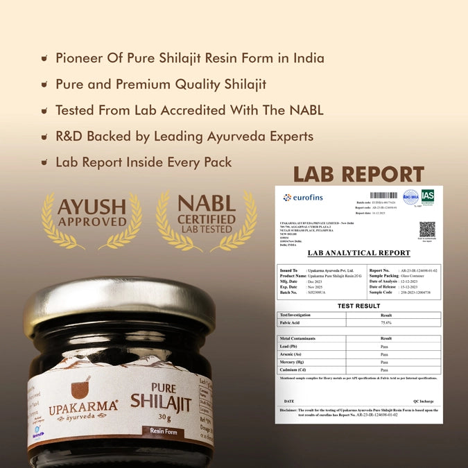 SHILAJIT Resin 30g